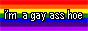 im a gay ass hoe