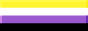 nonbinary flag