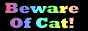 beware of cat