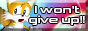 i wont give up