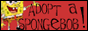 adopt a spongebob