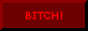 bitch