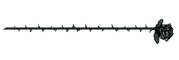 black rose divider