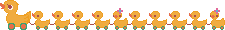 ducks