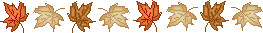 leaves