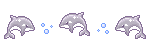 orcas