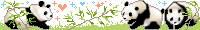 pandas