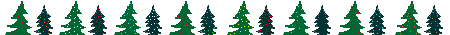 pine trees