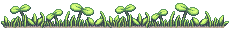 sprouts