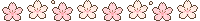 cherry blossoms
