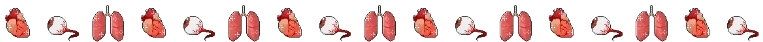 organs and eyes divider