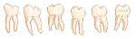 teeth divider