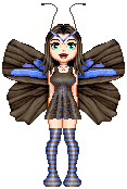 butterfly