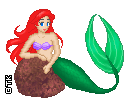 ariel