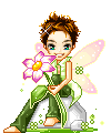 fairy boy