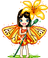 lily moth