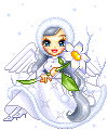 daisy snow