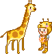 giraffe mini