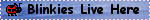 blinkies live here
