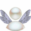 angel msn