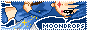 moondrops