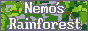 nemos rainforest