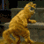 garfield dance