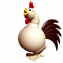 rooster