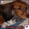 buddies 4 life
