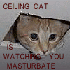 ceiling cat is watching you masturbate omg ceiling cat is watching me masturbate