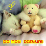 do not disturb