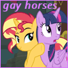 gay horses