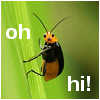 oh hi