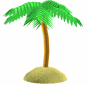 palm tree