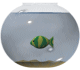 fish bowl