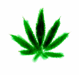 weed