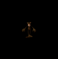 monkey