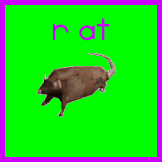 r at