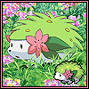shaymin