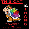 this cat is trans and theres nothing you can do about it