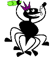 spider
