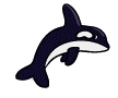 orca