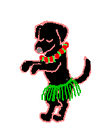 hula dog