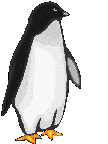 penguin