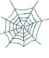 spider