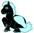 pony