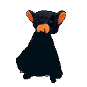 bat