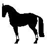 horse