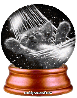 kitty snowglobe