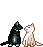 cat kiss